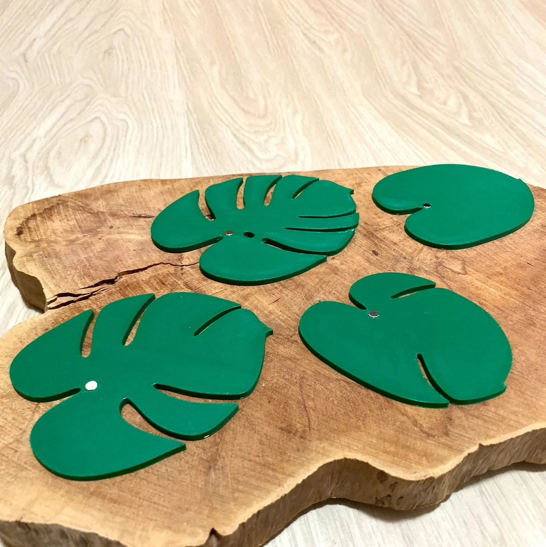 Monstera Plant - Green Leaf Drink Coasters