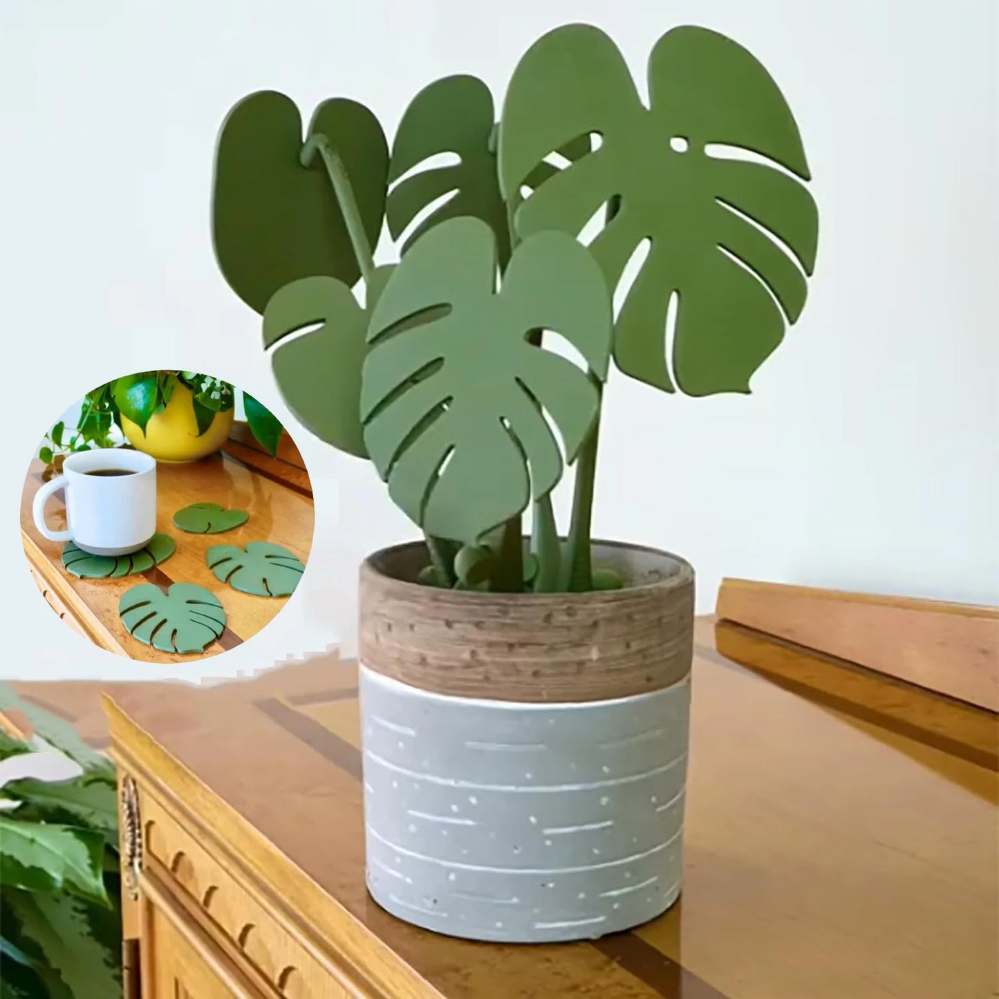 Monstera Plant - Green Leaf Drink Coasters